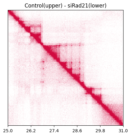 ../_images/content_CustardPy_API_15_0.png